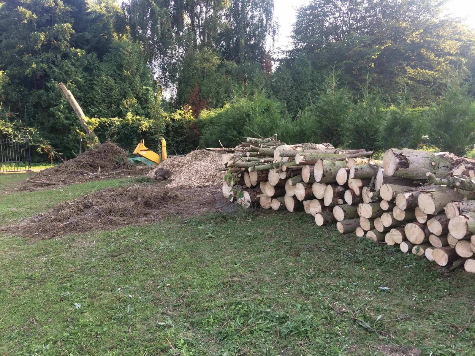 15bomen gekapt